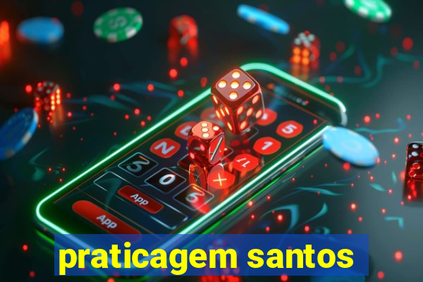 praticagem santos